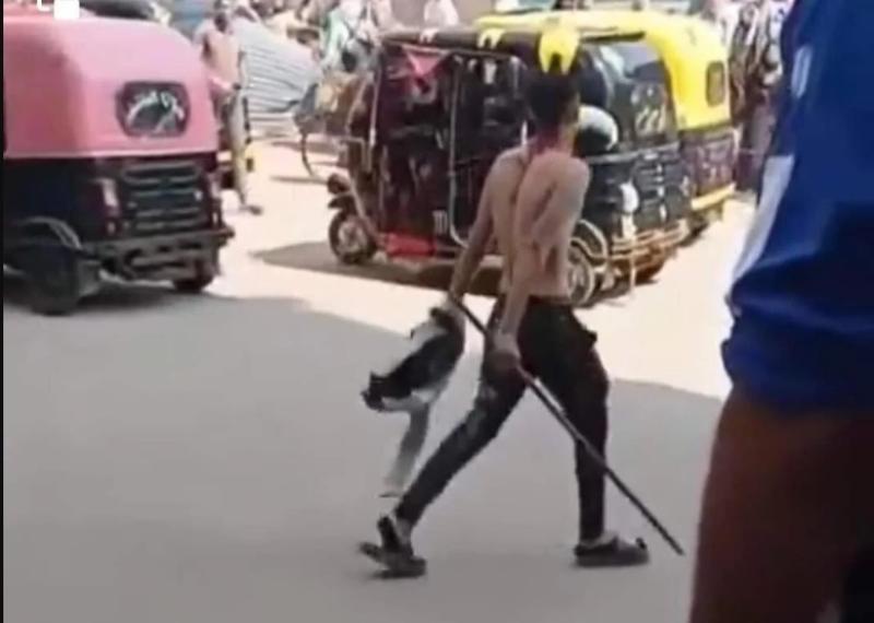 أمن الغربية يطارد بلطجيا أشهر سلاحا أمام مدرسة بطنطا