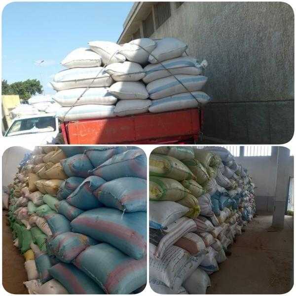 ضبط 1166 قضية في مجال التلاعب بمنظومة أرز الشعير