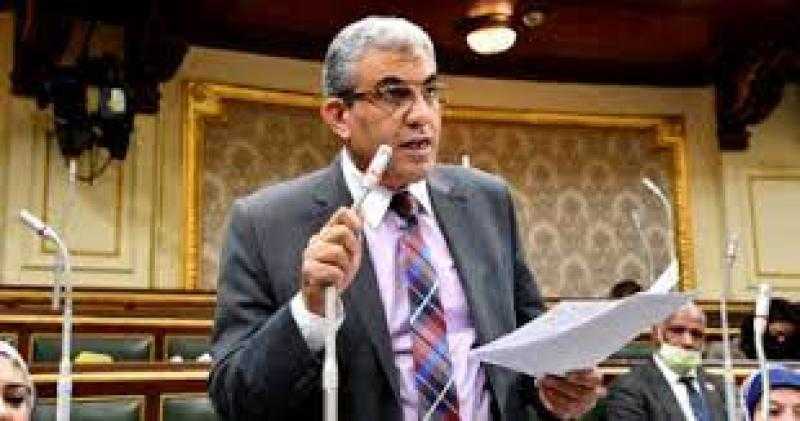 برلماني: المؤتمر الاقتصادي يؤكد على وجود إرادة سياسية لمواجهة التحديات العالمية