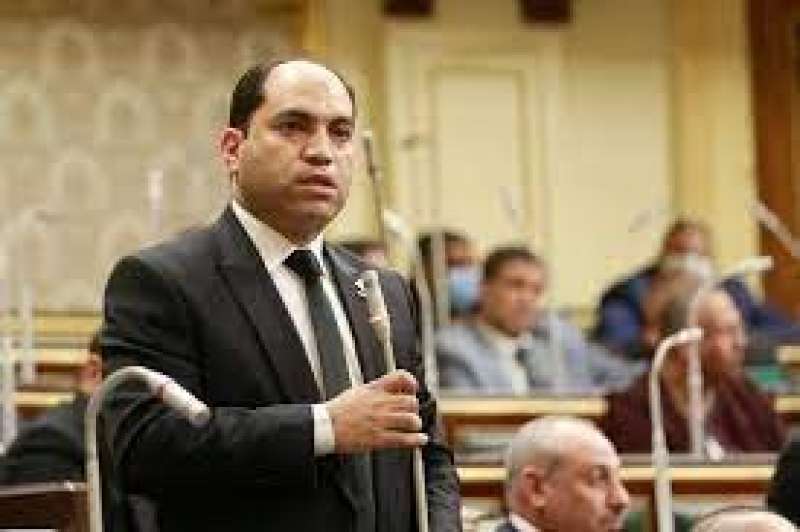 النائب عمرو درويش