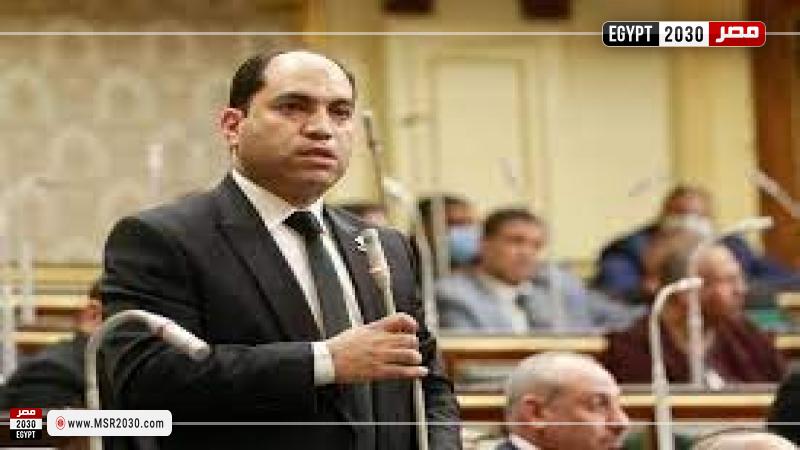 النائب عمرو درويش