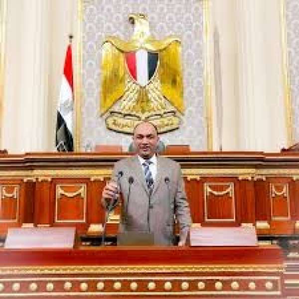 النائب احمد ابو زيد
