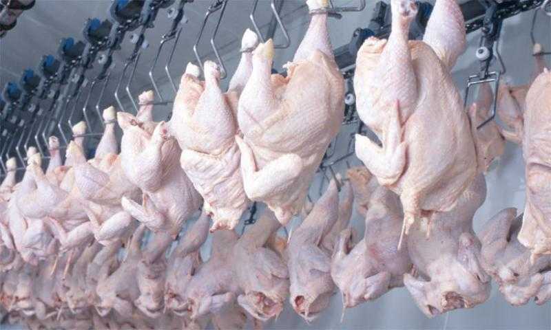 ضبط طن فراخ يشتبه فى عدم صلاحيتها بالقاهرة