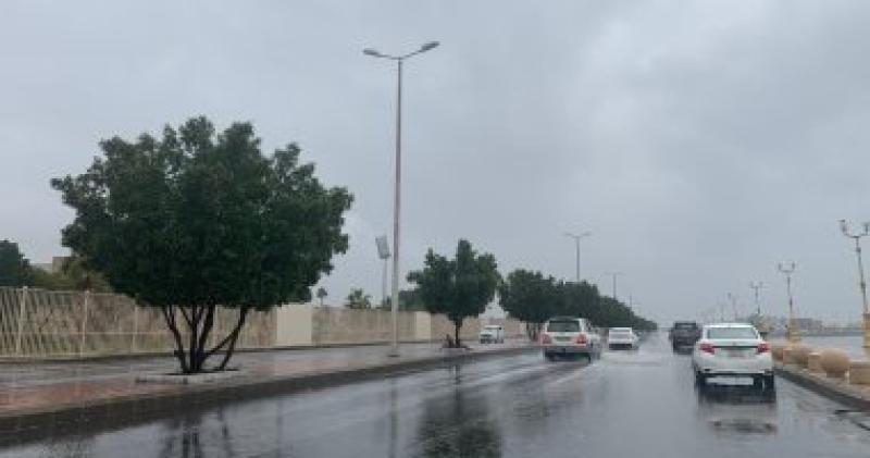 نصائح المرور لقيادة الآمنة  أثناء هطول الأمطار والشبورة