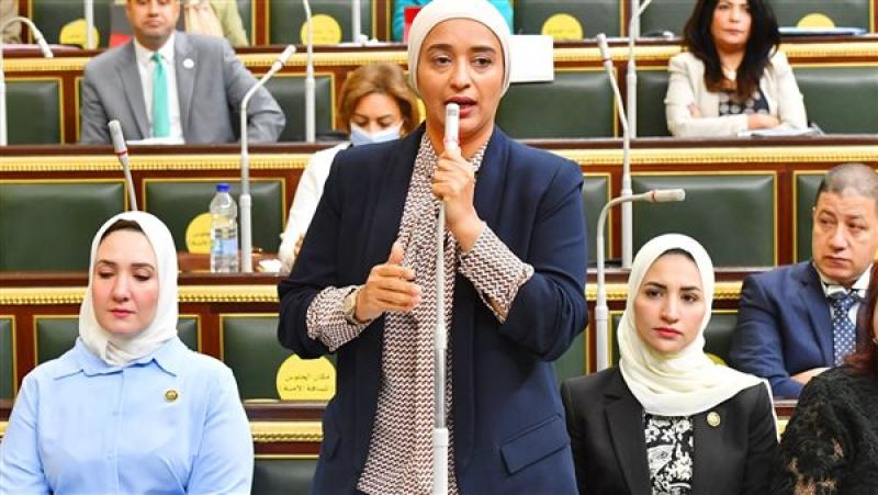 النائبة أميرة أبو شقة