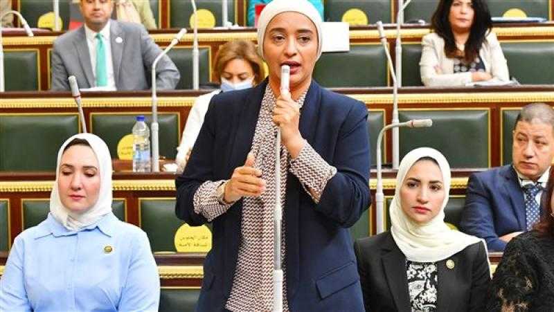 نائبة: «المعلم اللي بياخد ربع جنيه عن الحصة لازم ينتش ويجري».. فيديو