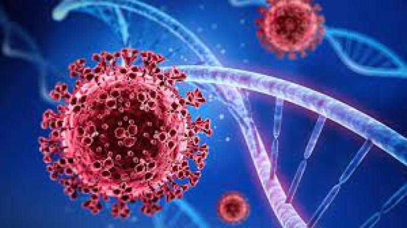 اليابان تبدأ حملة تطعيمات ضد فيروس كورونا للأطفال أقل من 5 سنوات
