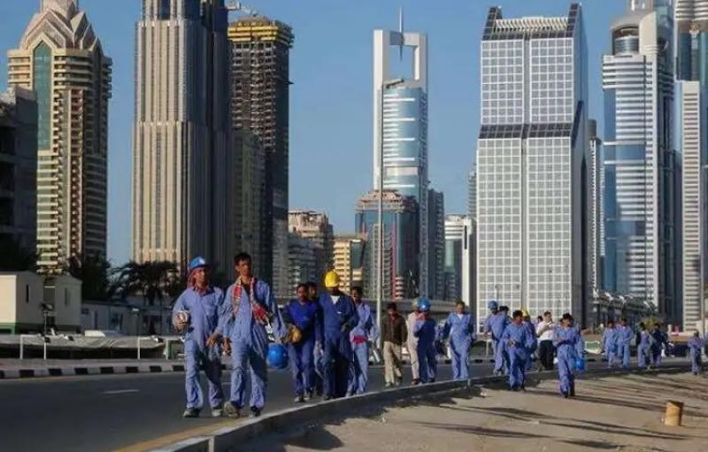العمالة المصرية في الإمارات