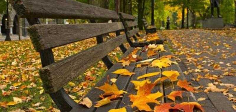 الأرصاد: نشهد أجواء خريفية واستقرار الطقس خلال الفترة المقبلة.. فيديو