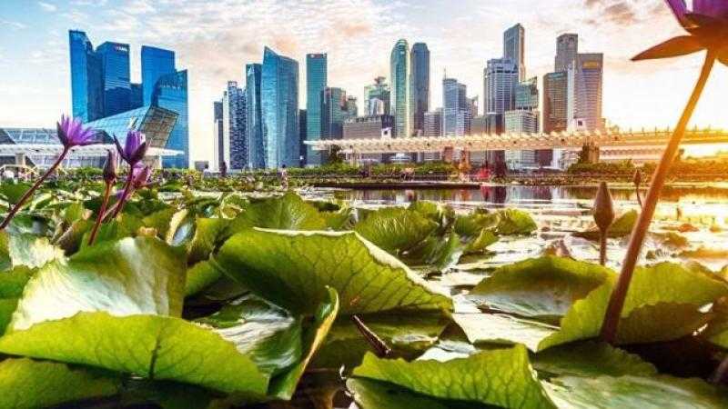 الولايات المتحدة وسنغافورة تبحثان قضايا الأمن الإقليمي لتعزيز التعاون الدفاعي