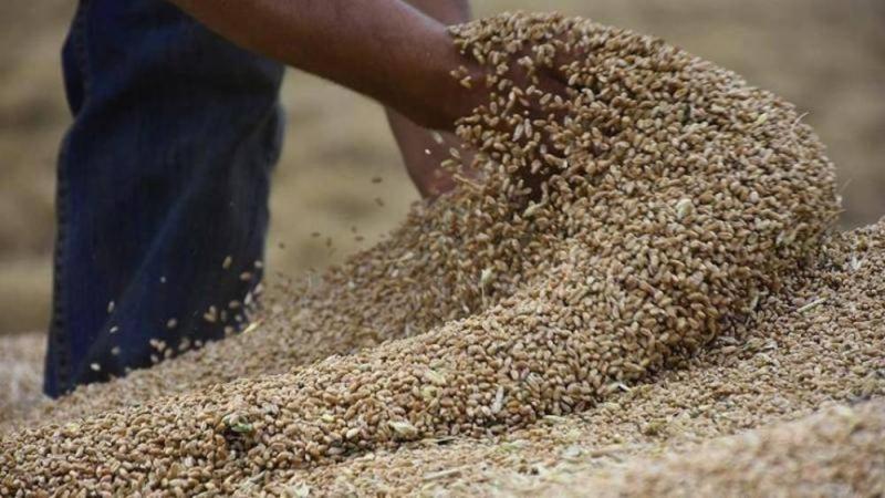 أوكرانيا تتهم روسيا بمفاقمة خطر المجاعة إثر توقف اتفاق صادرات الحبوب