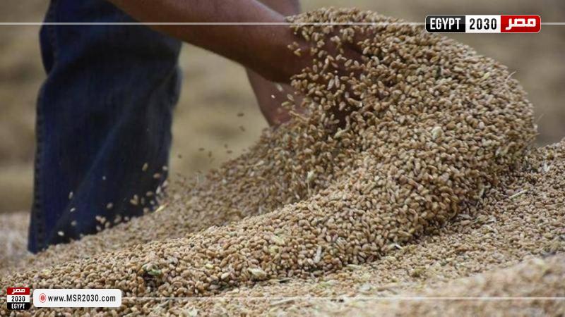 صادرات الحبوب