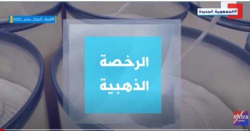 أستاذ اقتصاد: الرخصة الذهبية هدفها تخليق آليات جديدة لجذب الاستثمارات «فيديو»