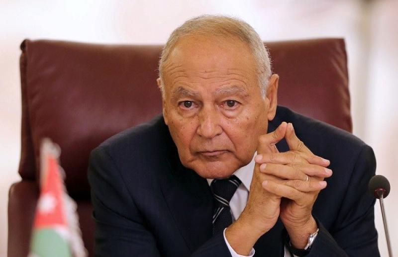 أبو الغيط: القضية الفلسطينية دفعت ثمن ربيع التدمير للعرب.. «فيديو»
