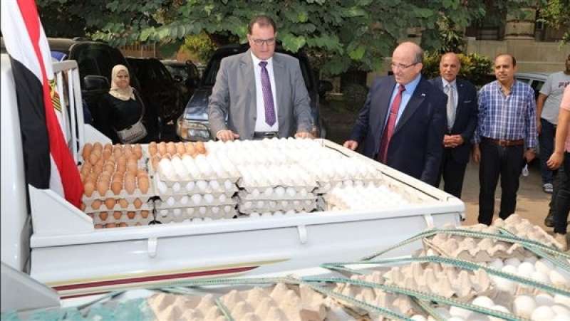 ضخ كميات من بيض المائدة الأحمر والابيض