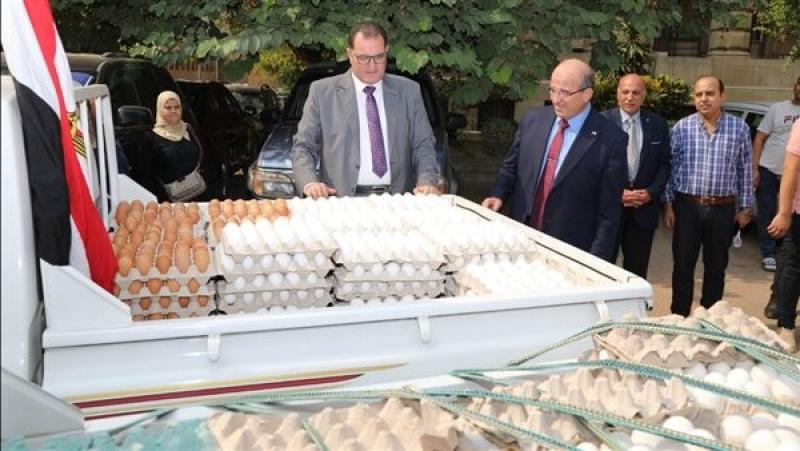 معًا ضد الغلاء.. طرح كميات من البيض بسعر 72 جنيهًا للكرتونة