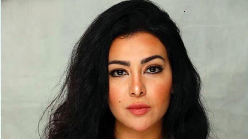 ميرهان حسين