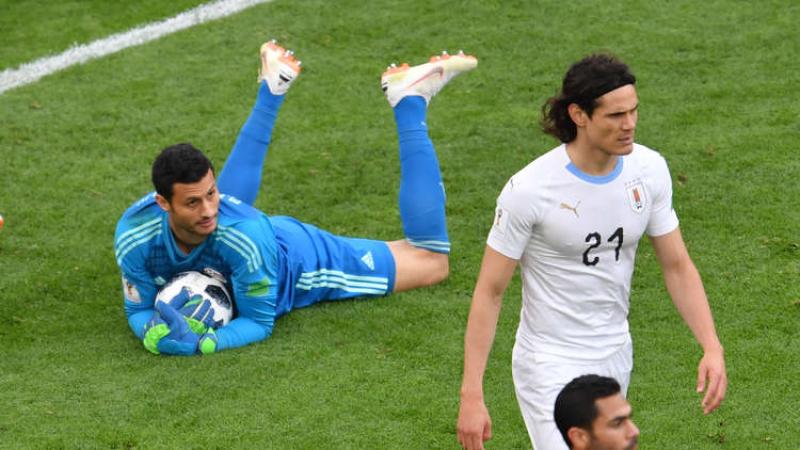 محمد الشناوي