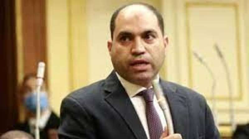 النائب عمرو درويش