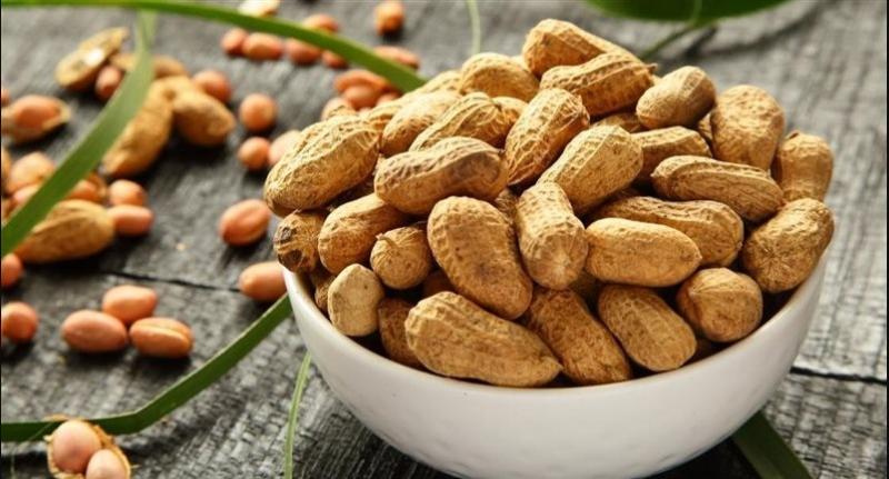 الإحصاء: المصريون أكلوا «فول سوداني» مستوردًا بـ60 مليون دولار في 7 أشهر