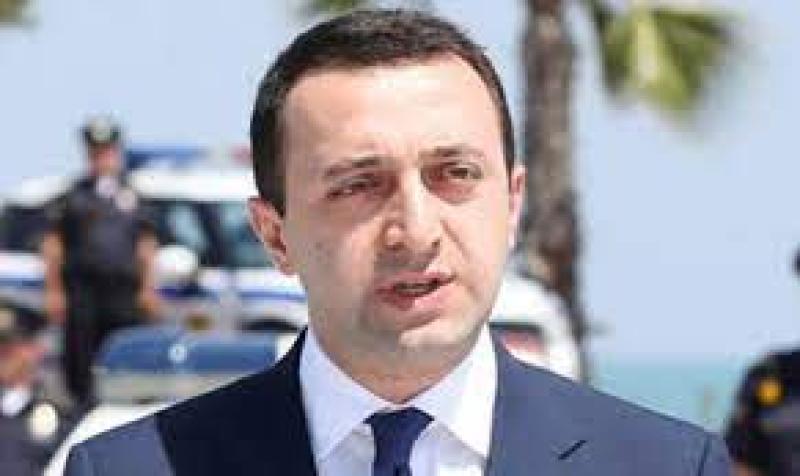 رئيس وزراء جورجيا، إراكلى جاريباشفيل