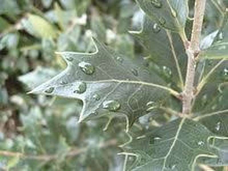 تعبيرية 