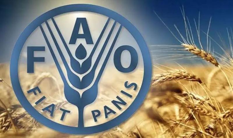 الفاو: 40% من سكان العالم يعجزون عن تحمل كلفة نمط غذائي صحي