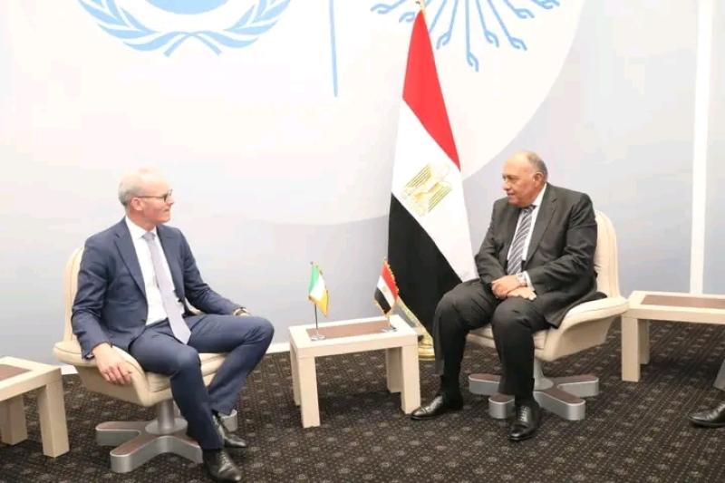وزير الخارجية