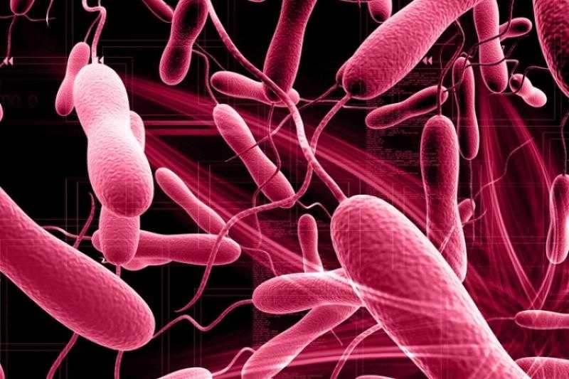 وزير الصحة ينفى وجود أي حالات مصابة بمرض الكوليرا في مصر