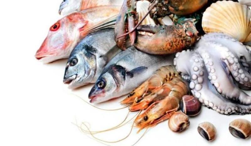 اسعار السمك اليوم الجمعة عند التاجر.. «الجمبري بكام النهاردة»