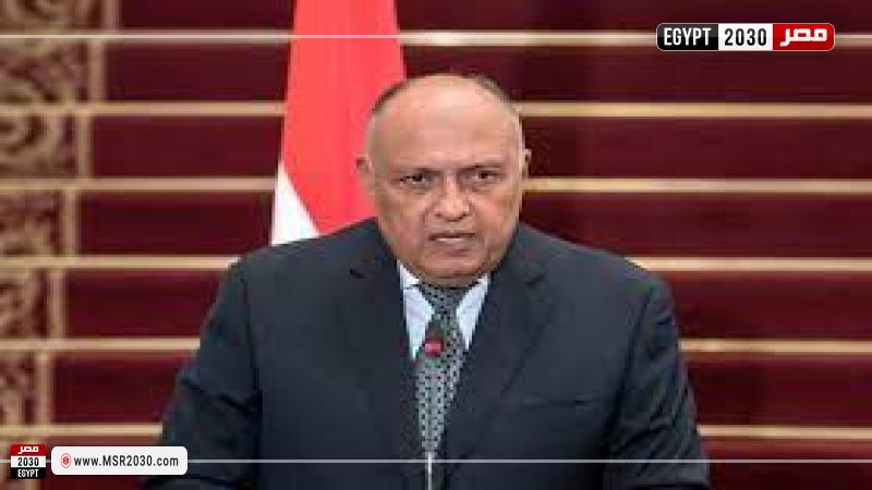 سامح شكري، وزير الخارجية