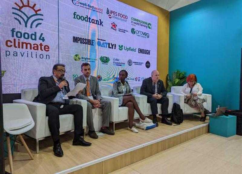 الصحة: انخفاض معدلات «التقزم والأنيميا» عند الأطفال لـ13% بدلاً من 21%