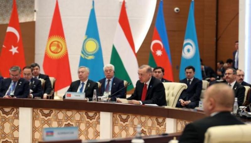 أردوغان في قمة المنظمة