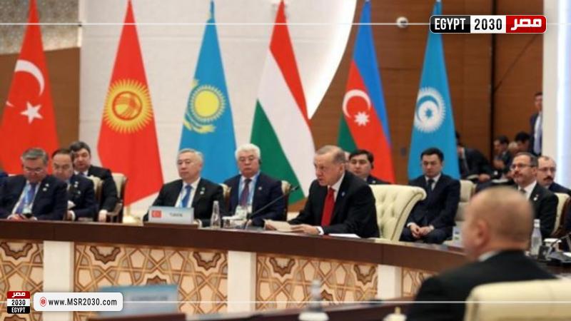 أردوغان في قمة المنظمة