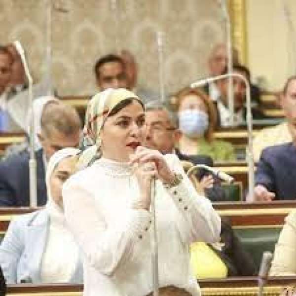 النائبة ولاء عبد الفتاح