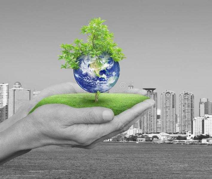 قانوني: مؤتمر قمة المناخ حديث العالم على أرض مصر