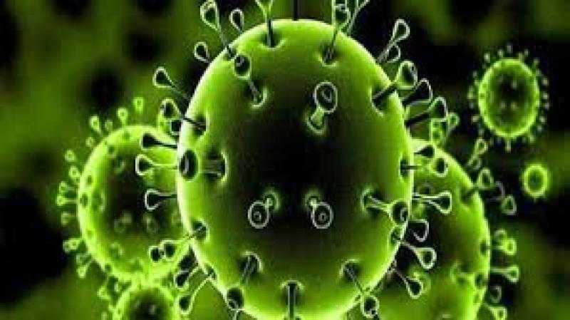 انتشار عدوى فيروسية بين الطلاب في المدارس.. اعرف الحقيقة