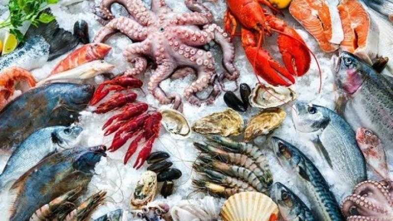 أسعار السمك والمأكولات البحرية اليوم الثلاثاء بسوق العبور.. الجمبري بكام