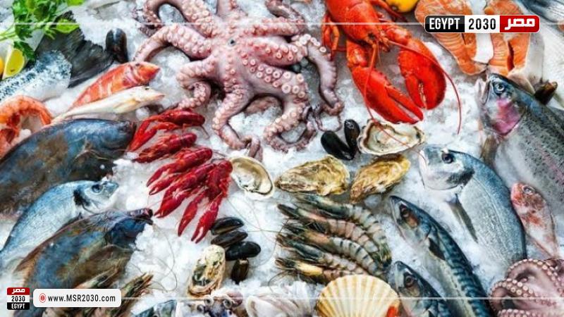 أسعار السمك اليوم بسوق العبور