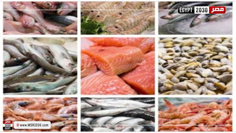  أسعار السمك اليوم بسوق العبور