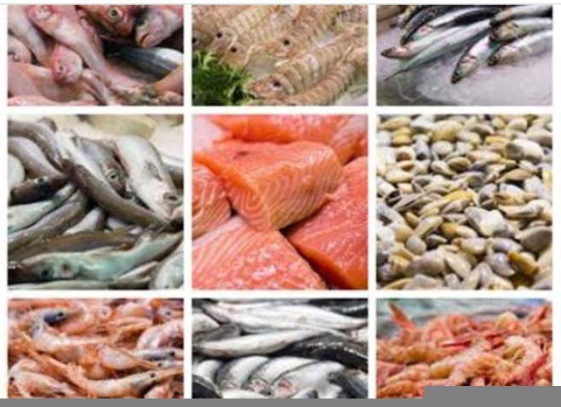 أسعار السمك اليوم بسوق العبور