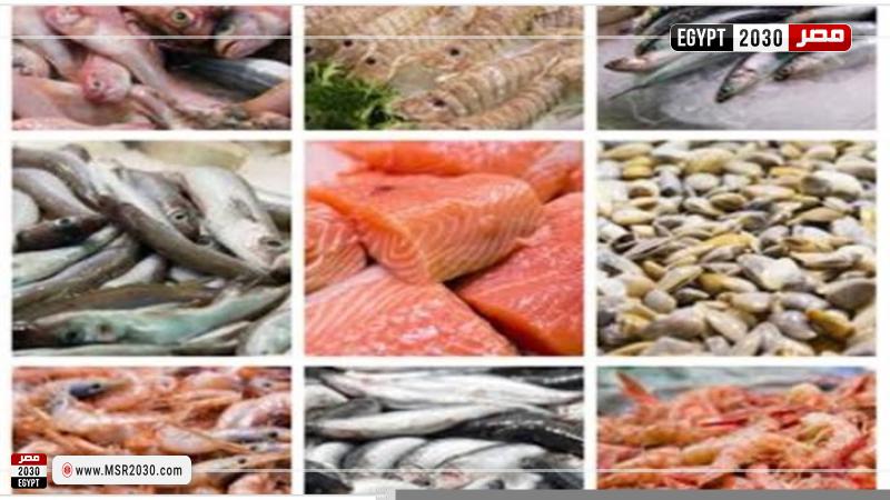 أسعار السمك اليوم بسوق العبور