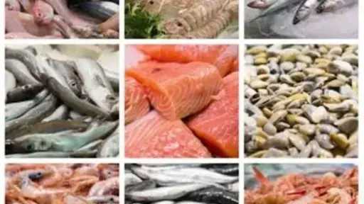 أسعار السمك اليوم الخميس بسوق العبور.. الجمبري دوخ... أسعار السمك اليوم الخميس بسوق العبور.. الجمبري دوخ الناس