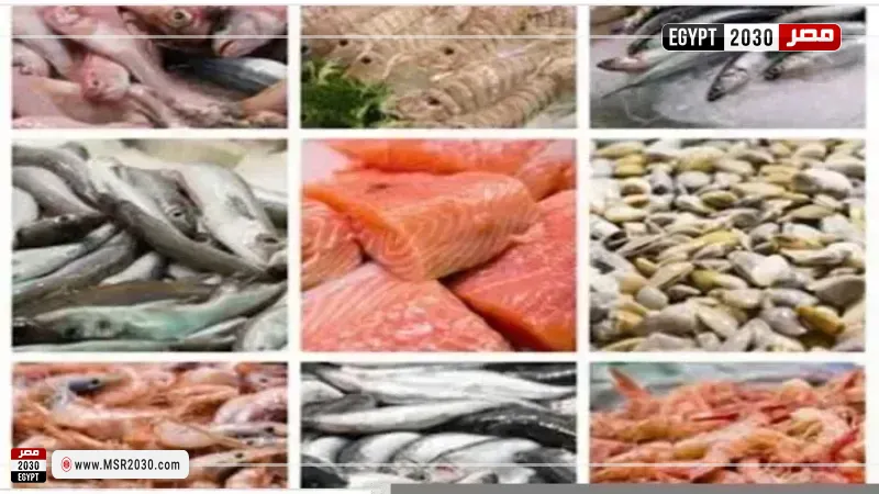 أسعار السمك اليوم بسوق العبور