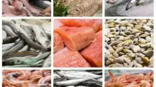 أسعار السمك اليوم الأحد بسوق العبور.. الجمبري دوخ الناس