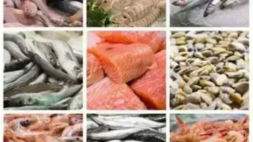 أسعار السمك اليوم الإثنين بسوق العبور.. الجمبري دوخ... أسعار السمك اليوم الإثنين بسوق العبور.. الجمبري دوخ الناس