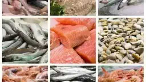 أسعار السمك اليوم الخميس بسوق العبور.. الجمبري دوخ الناس