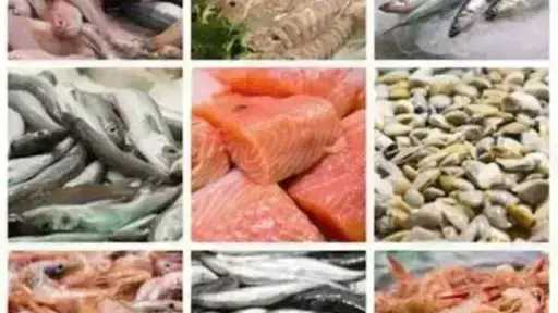 أسعار السمك اليوم الأحد بسوق العبور.. الجمبري دوخ الناس