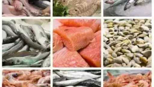 أسعار السمك اليوم الخميس بسوق العبور.. الجمبري دوخ... أسعار السمك اليوم الخميس بسوق العبور.. الجمبري دوخ الناس