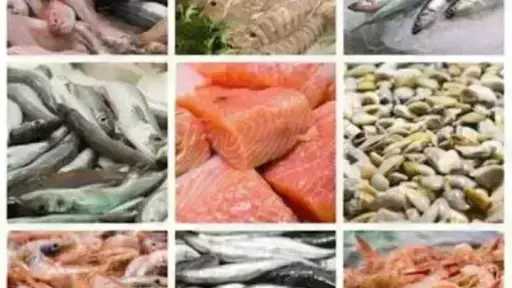 أسعار السمك اليوم الثلاثاء بسوق العبور.. الجمبري دوخ الناس